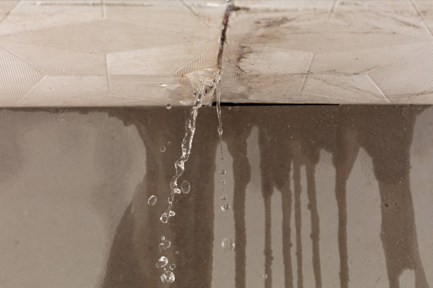 Professional Structural Drying technician working in Brussels, WI